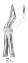 Fig. 51L upper roots 